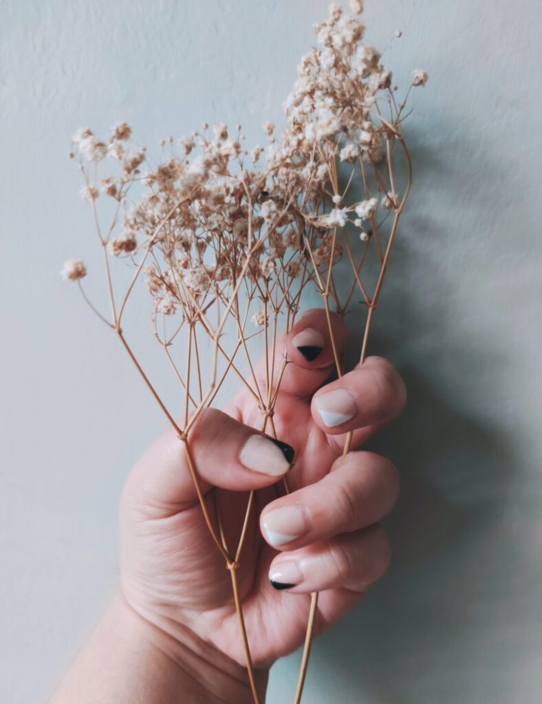 ivy aralia nizar UP S TA E unsplash